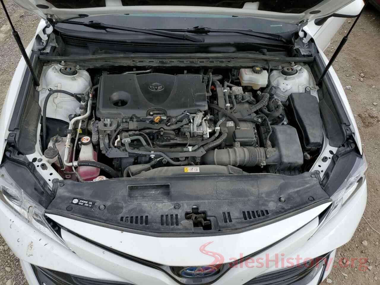 4T1B31HK7KU005571 2019 TOYOTA CAMRY