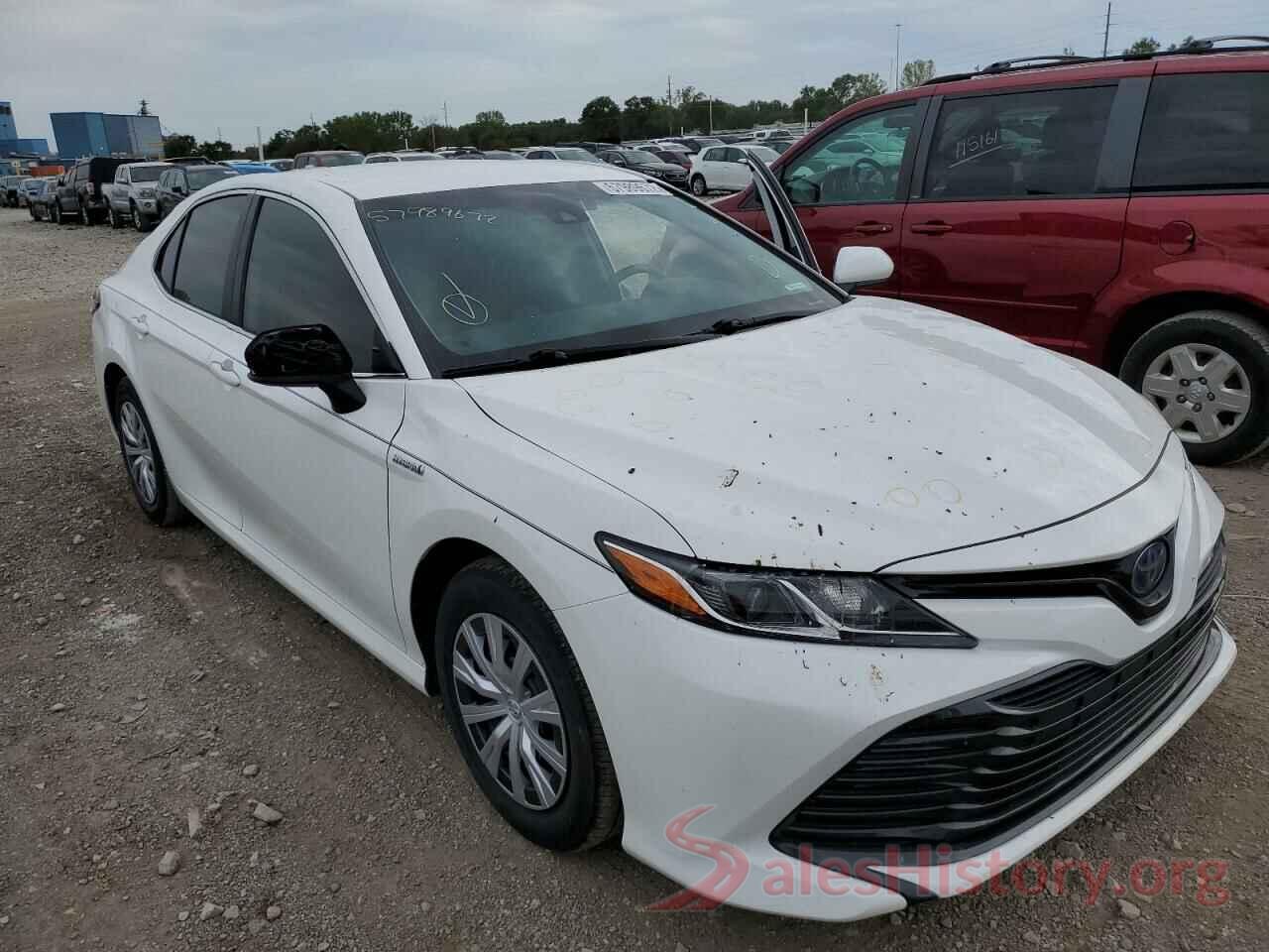 4T1B31HK7KU005571 2019 TOYOTA CAMRY