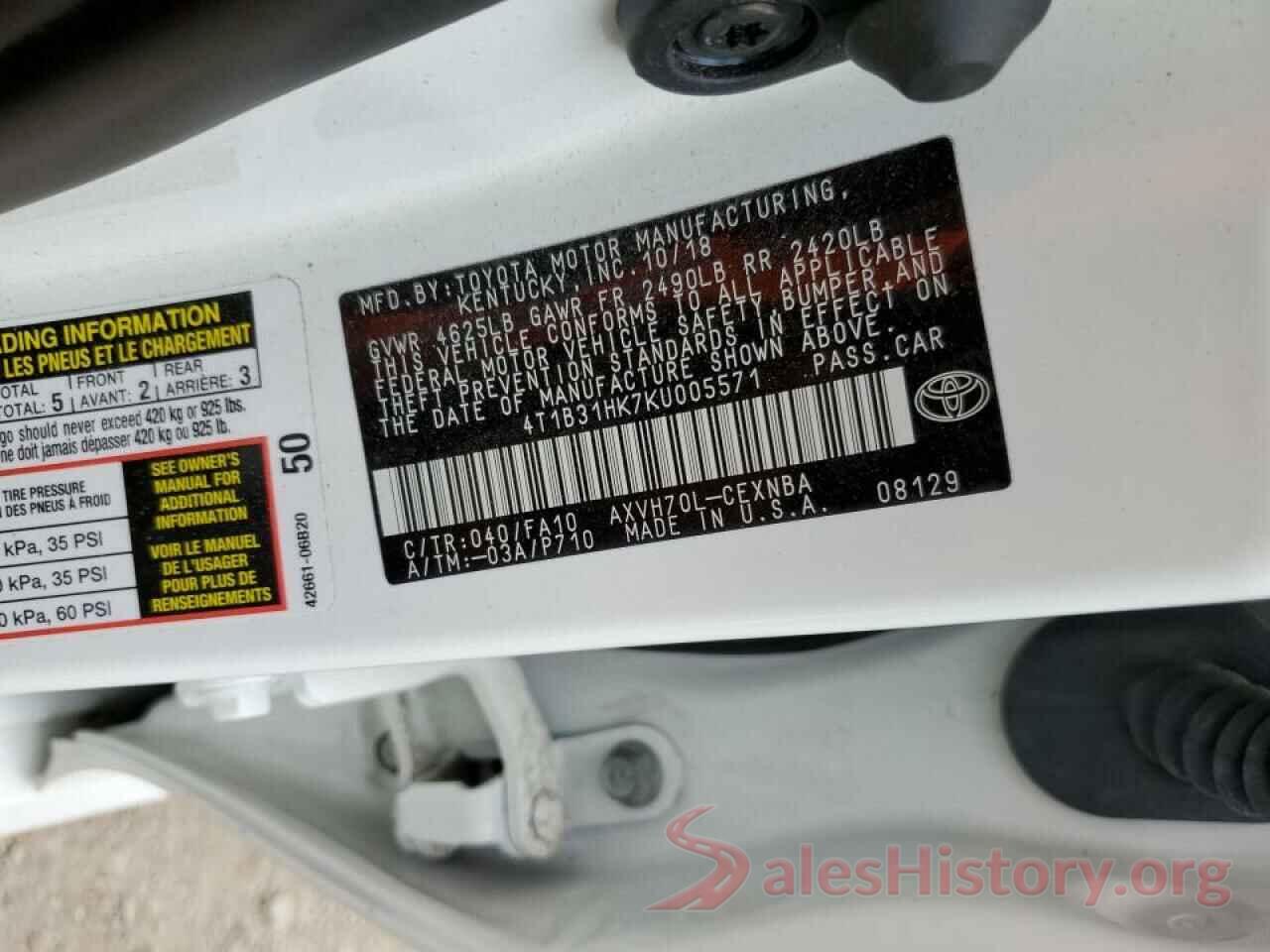 4T1B31HK7KU005571 2019 TOYOTA CAMRY