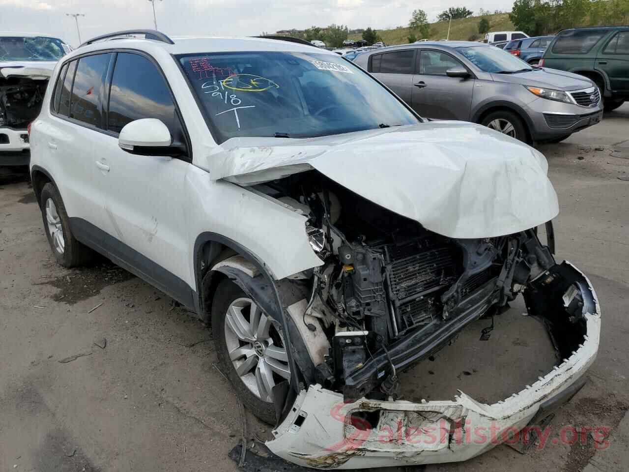 WVGBV7AX9HK029510 2017 VOLKSWAGEN TIGUAN