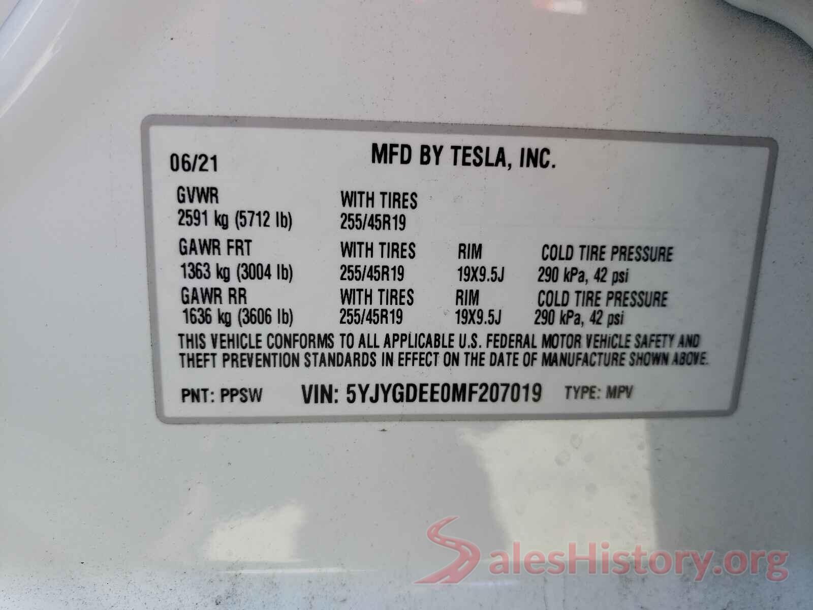 5YJYGDEE0MF207019 2021 TESLA MODEL Y