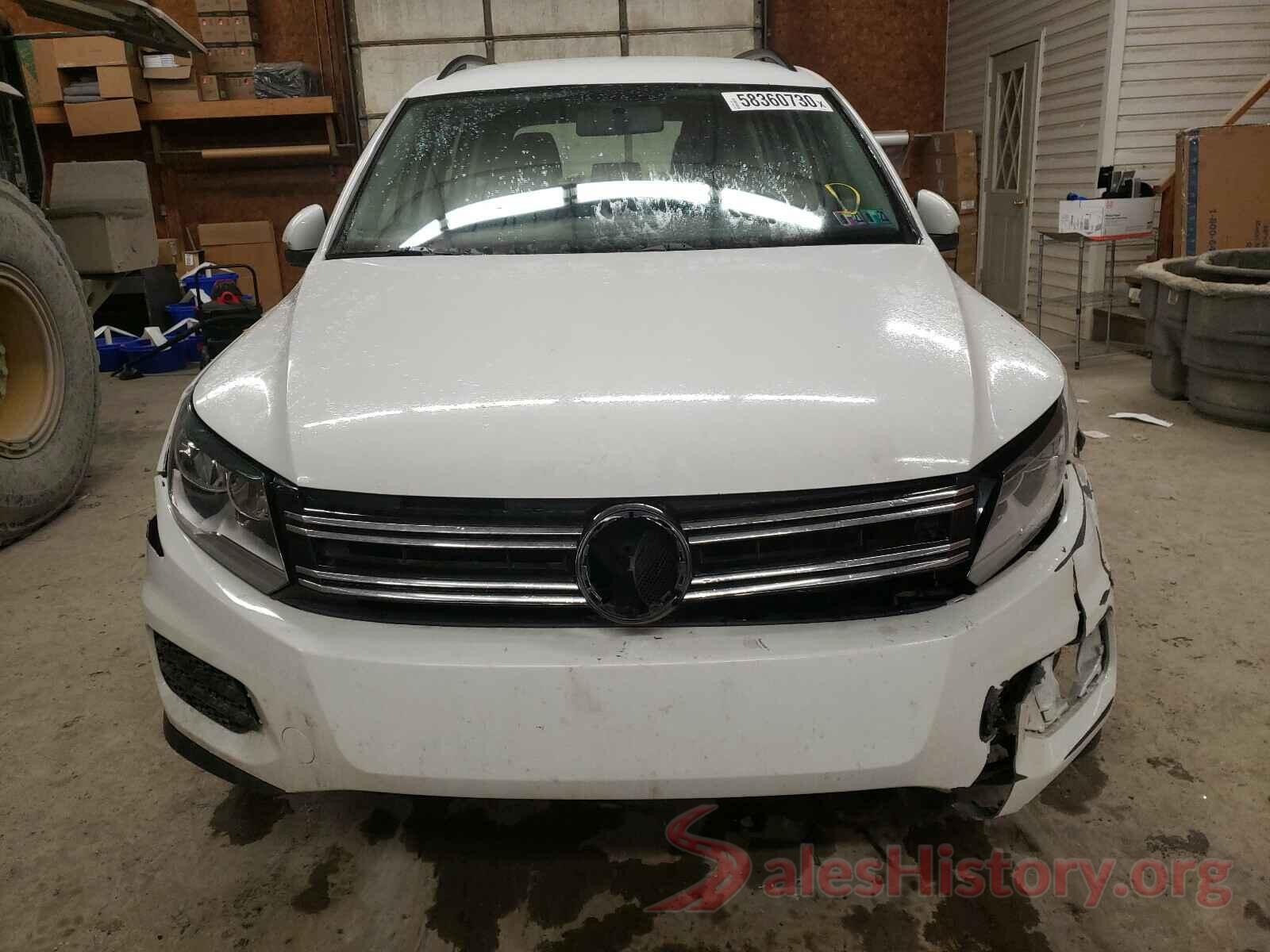 WVGBV7AXXHK043481 2017 VOLKSWAGEN TIGUAN