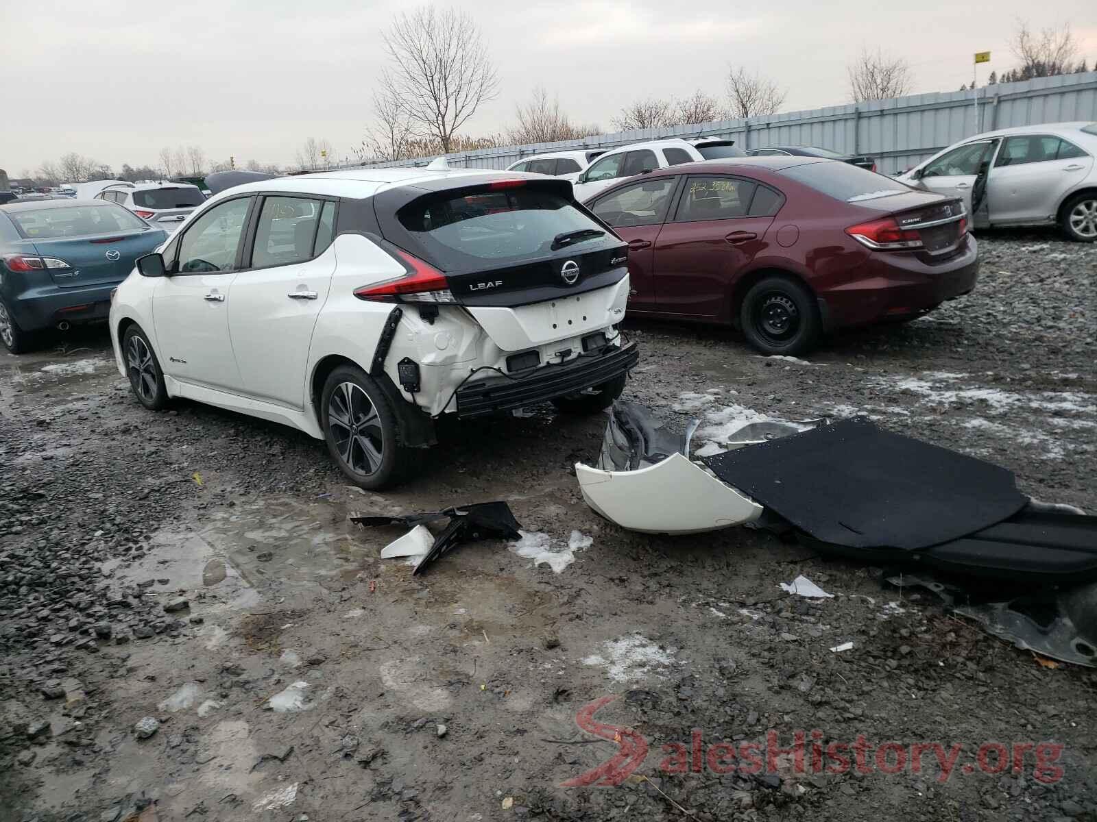 1N4AZ1CP0JC316447 2018 NISSAN LEAF