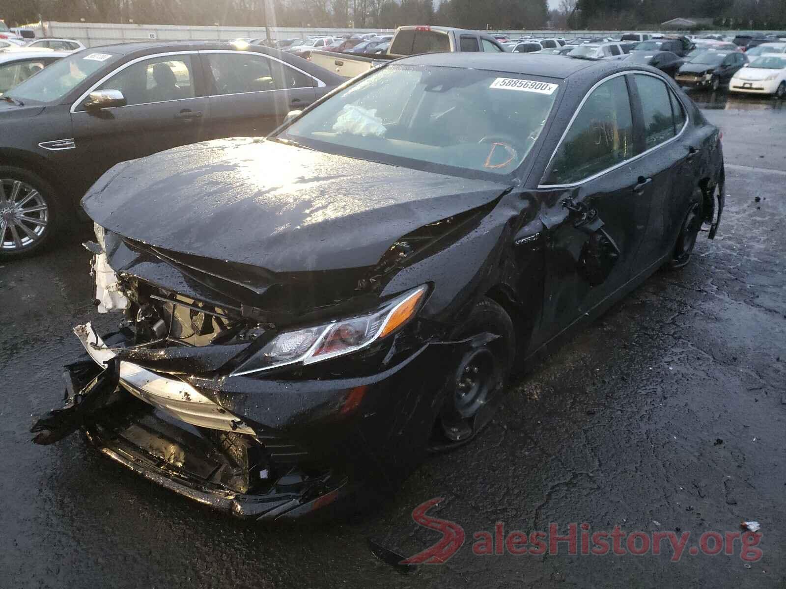 4T1B31HK1KU009065 2019 TOYOTA CAMRY