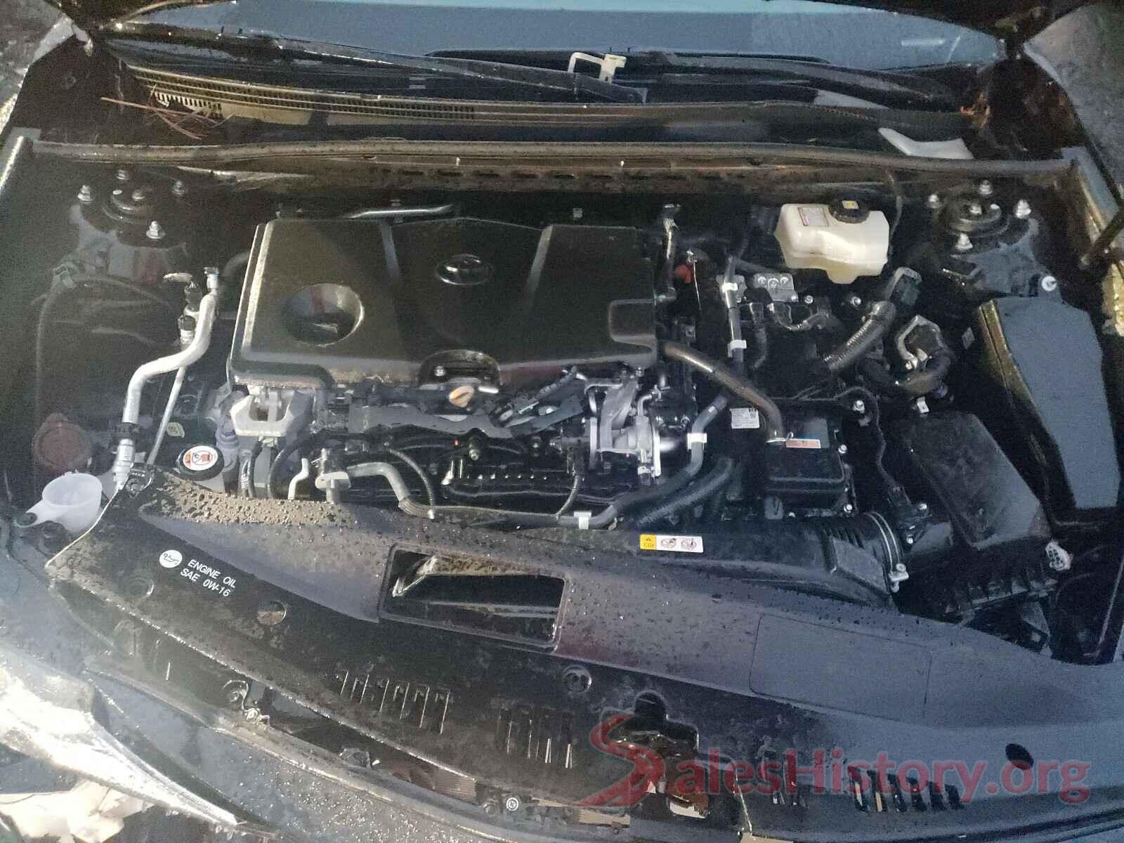 4T1B31HK1KU009065 2019 TOYOTA CAMRY