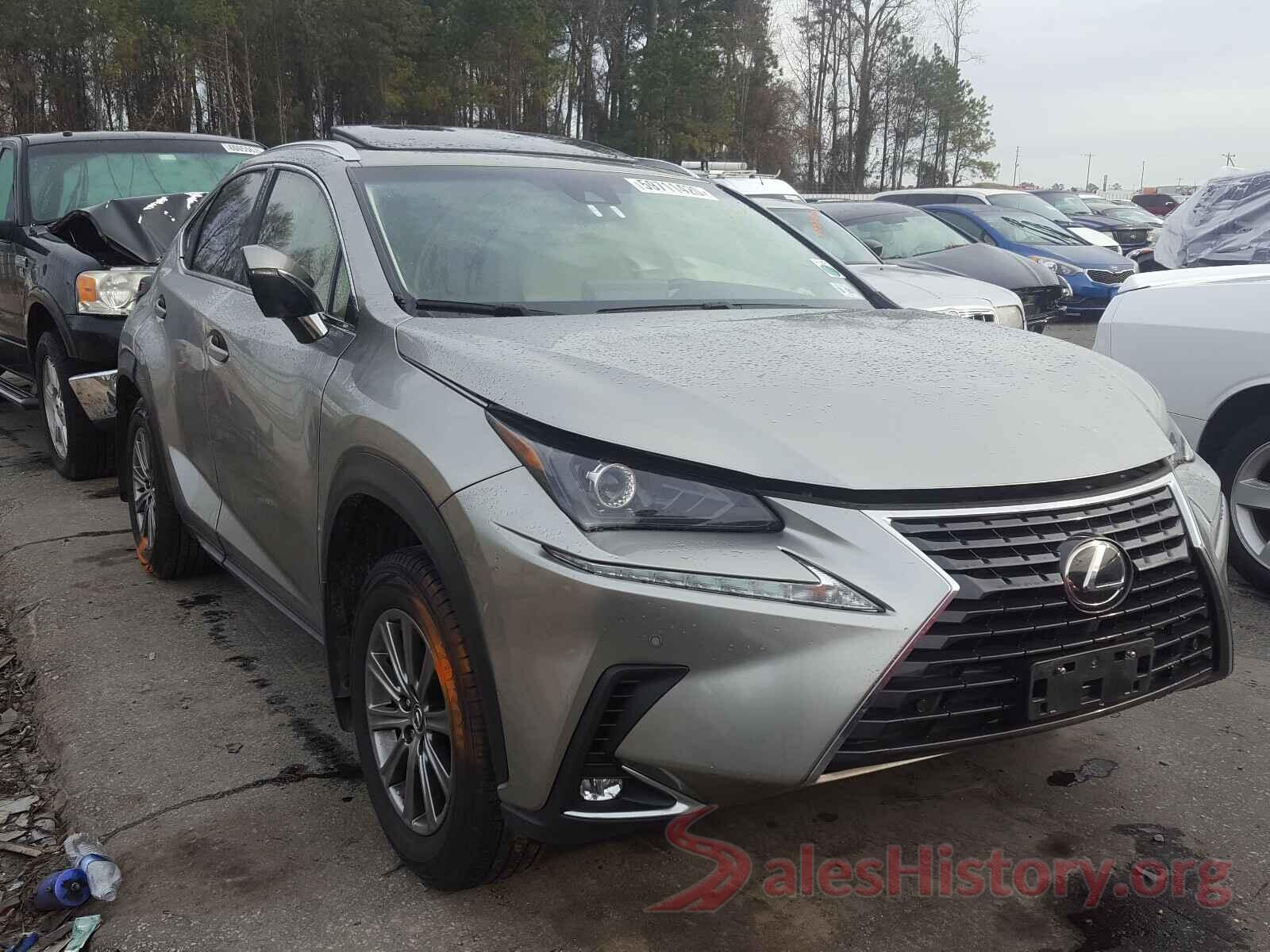 JTJBARBZ9K2205293 2019 LEXUS NX