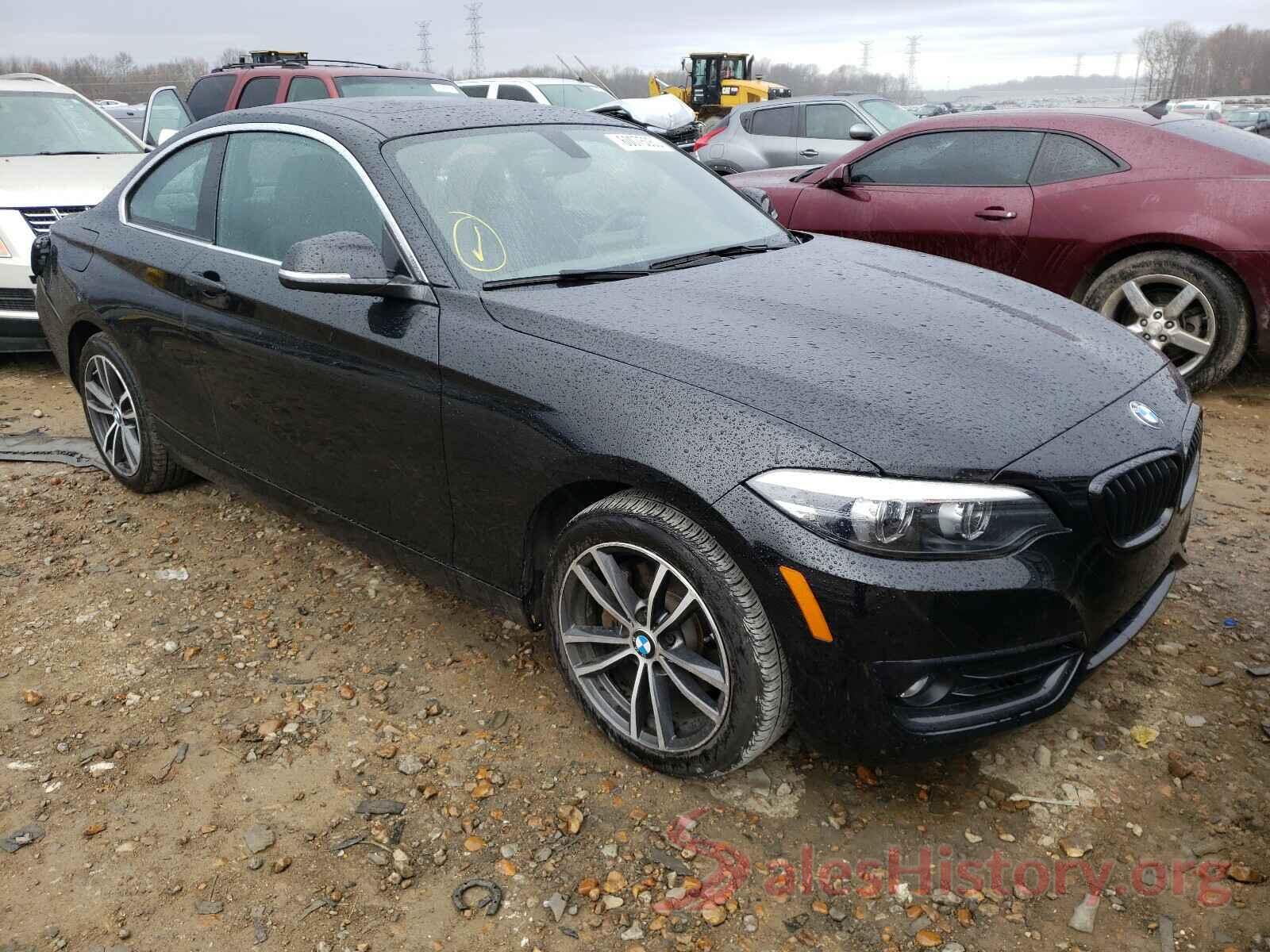 WBA2J1C50JVD09541 2018 BMW 2 SERIES