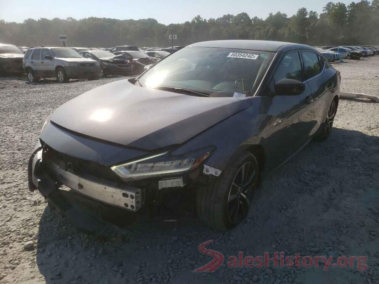 1N4AA6AVXKC366246 2019 NISSAN MAXIMA