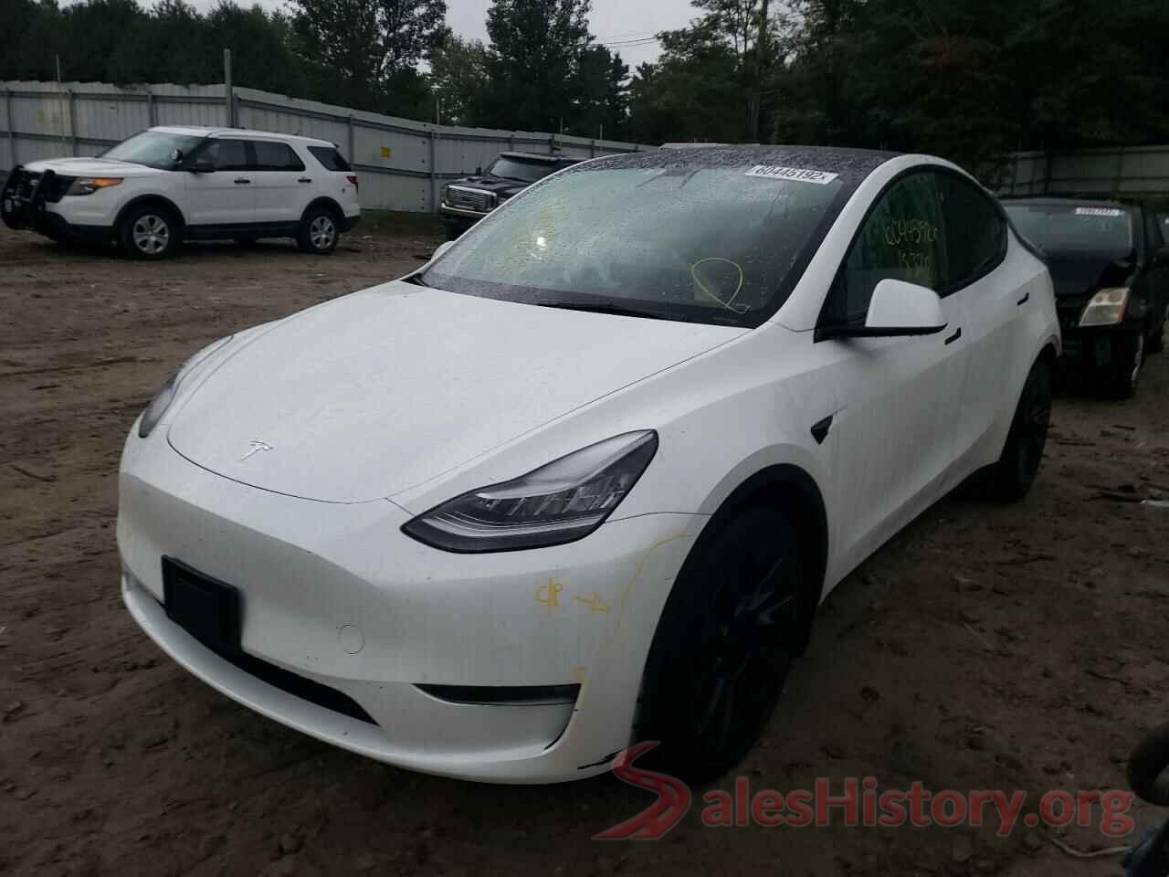 5YJYGAEE5MF194251 2021 TESLA MODEL Y