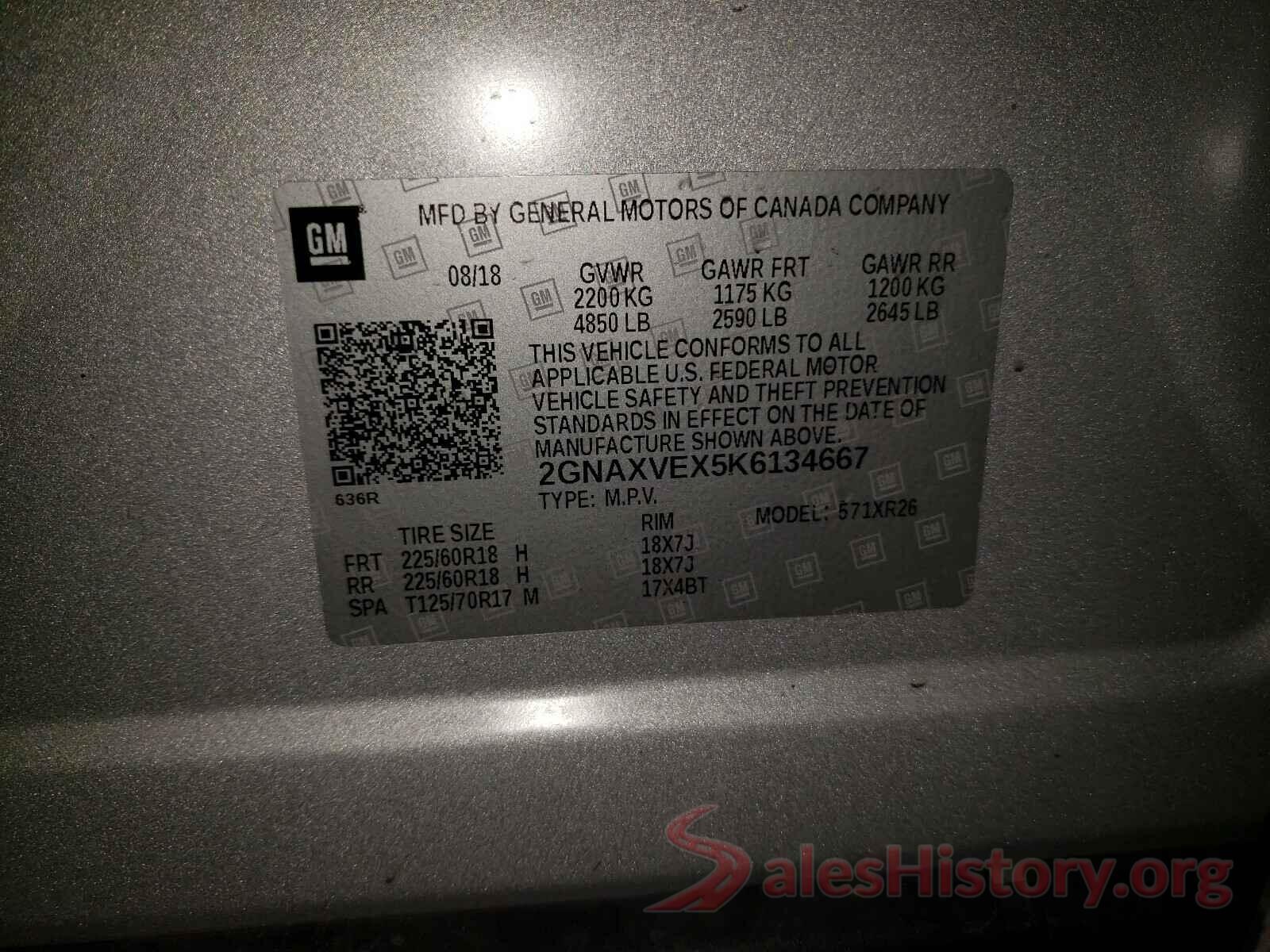 2GNAXVEX5K6134667 2019 CHEVROLET EQUINOX