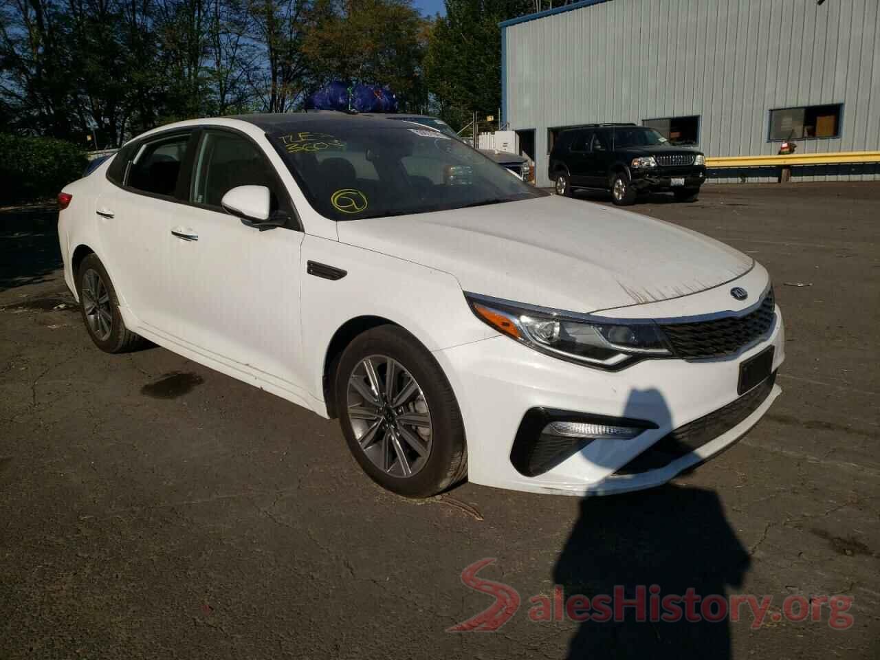 5XXGT4L34KG300189 2019 KIA OPTIMA