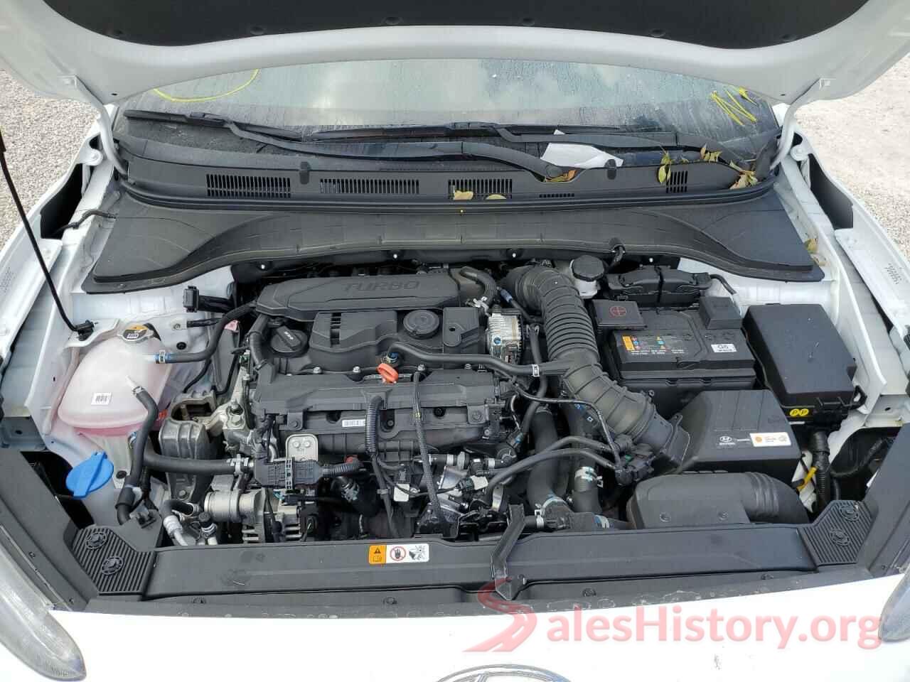 KM8K53A3XNU923246 2022 HYUNDAI KONA