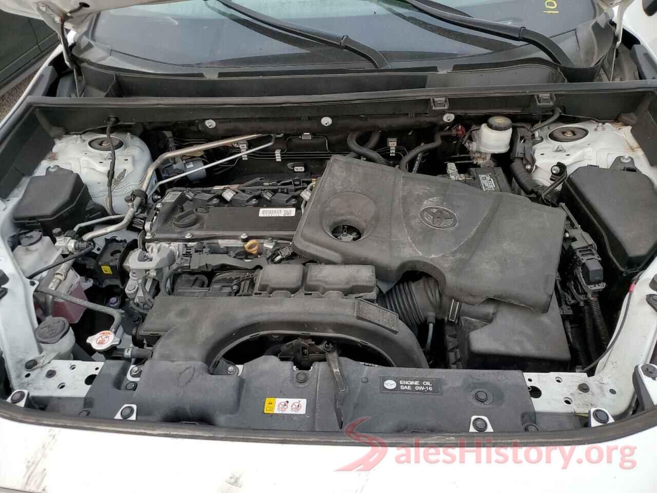 2T3H1RFV5KW048244 2019 TOYOTA RAV4