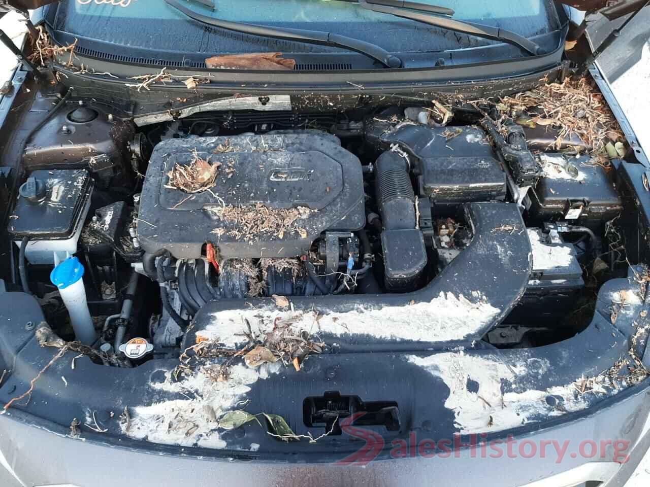 5NPE24AF8HH505003 2017 HYUNDAI SONATA