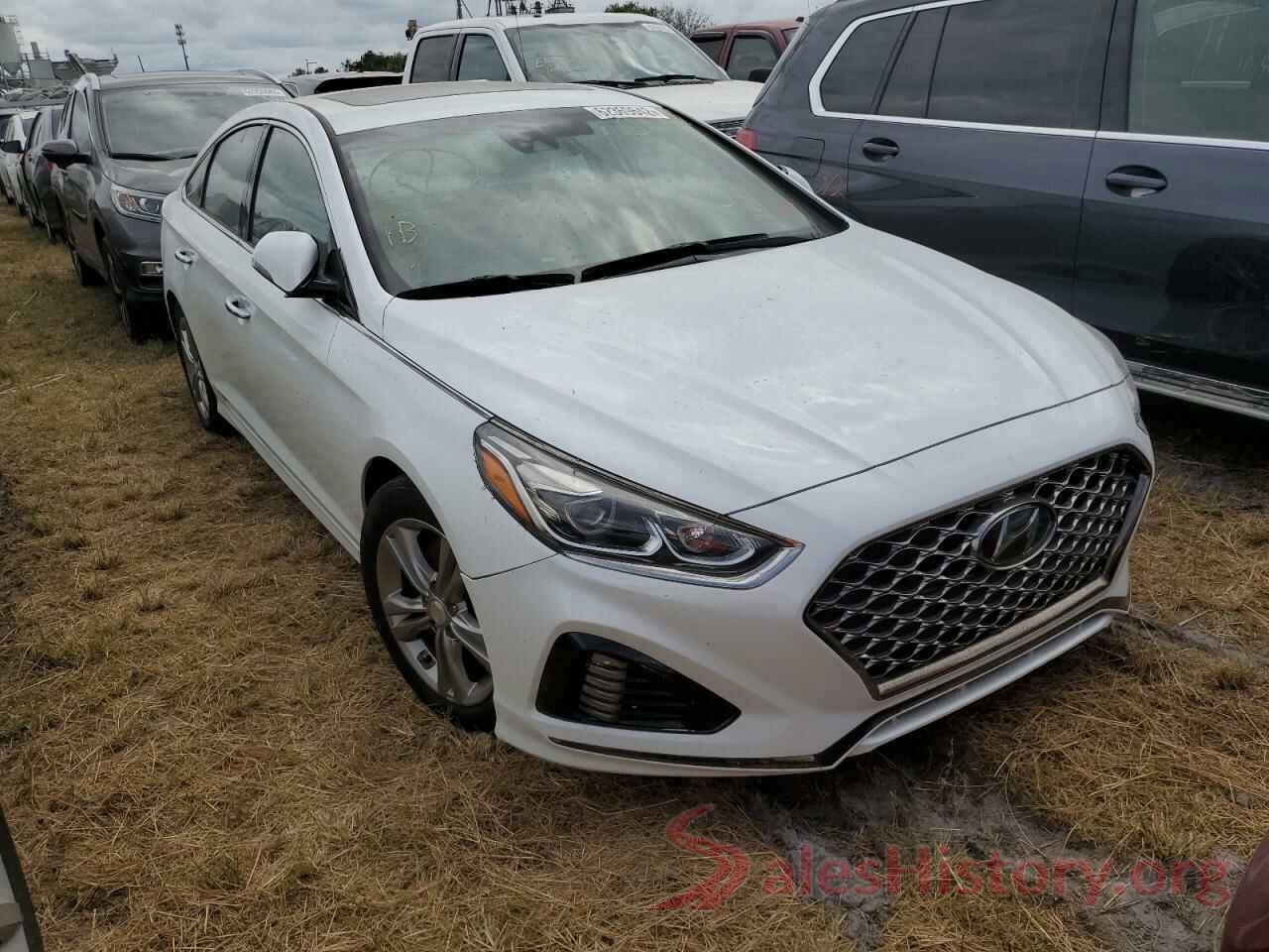 5NPE34AF4KH764219 2019 HYUNDAI SONATA