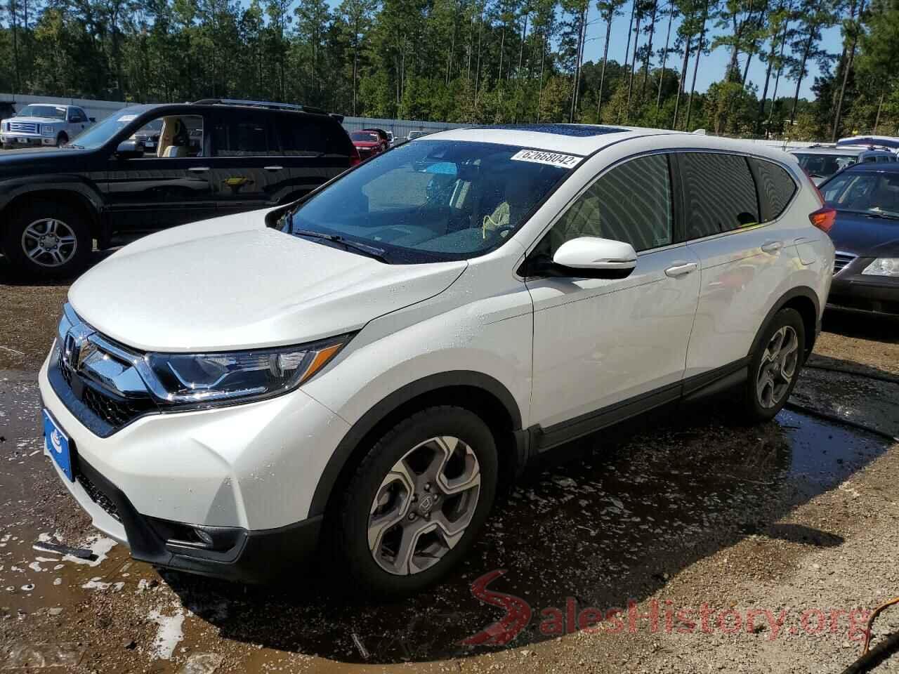 7FARW1H8XKE017791 2019 HONDA CRV