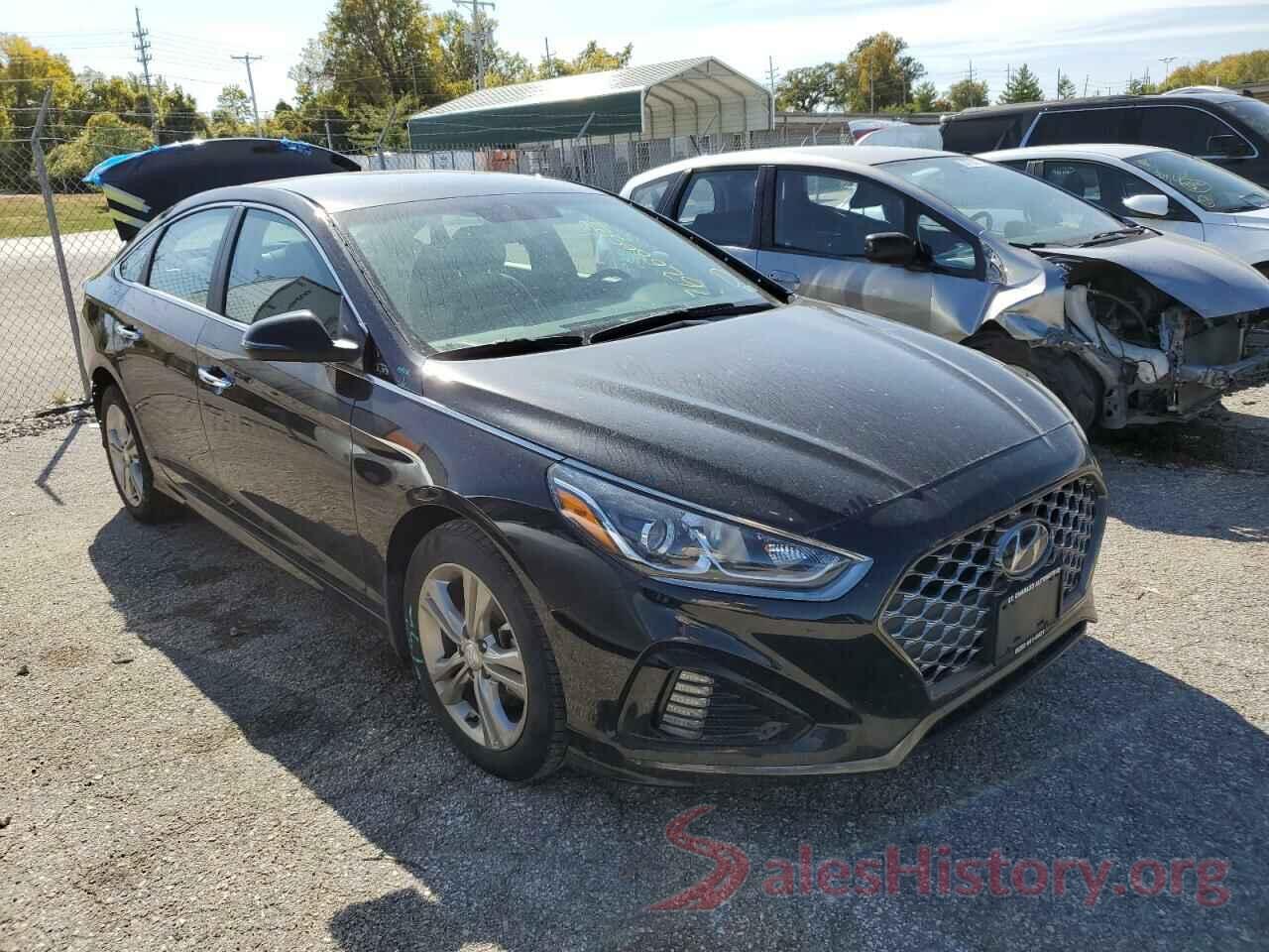 5NPE34AF4KH810356 2019 HYUNDAI SONATA