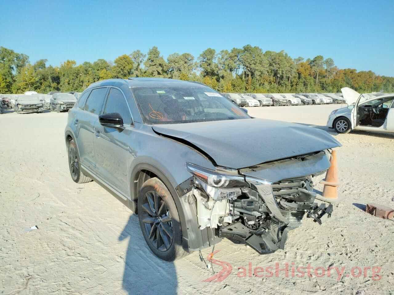 JM3TCBDY3P0630015 2023 MAZDA CX-9