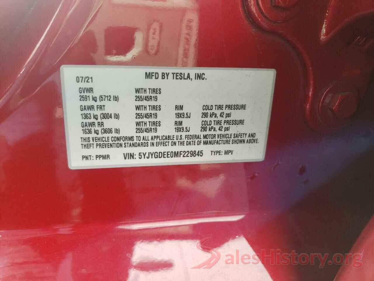 5YJYGDEE0MF229845 2021 TESLA MODEL Y