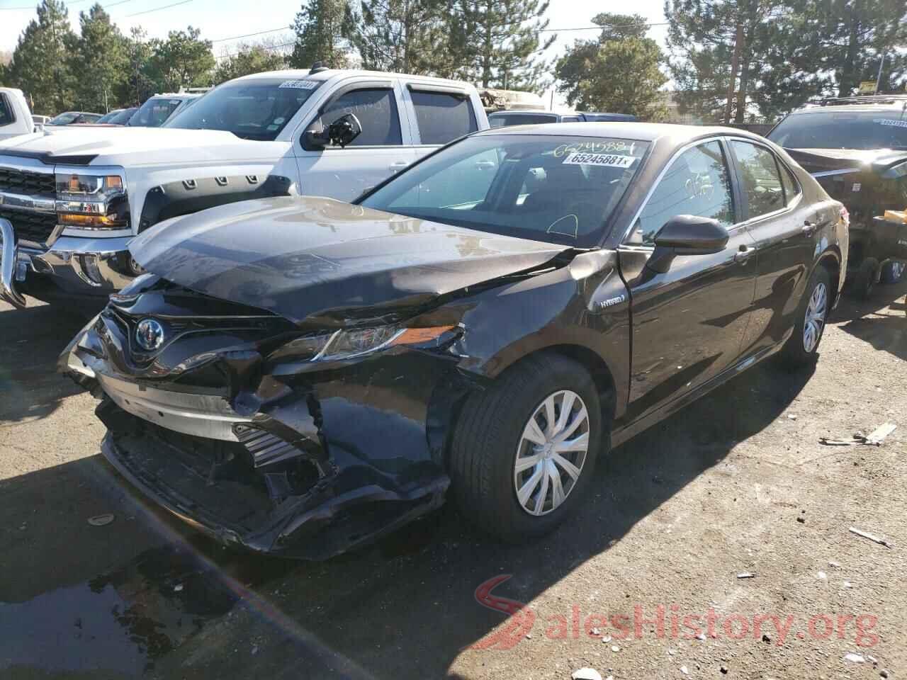 4T1B31HK3KU511320 2019 TOYOTA CAMRY