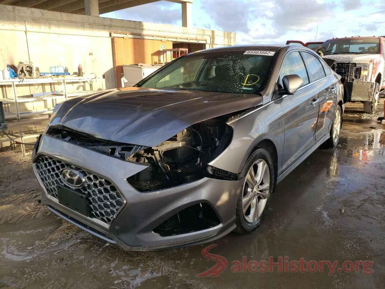 5NPE34AF4KH798807 2019 HYUNDAI SONATA