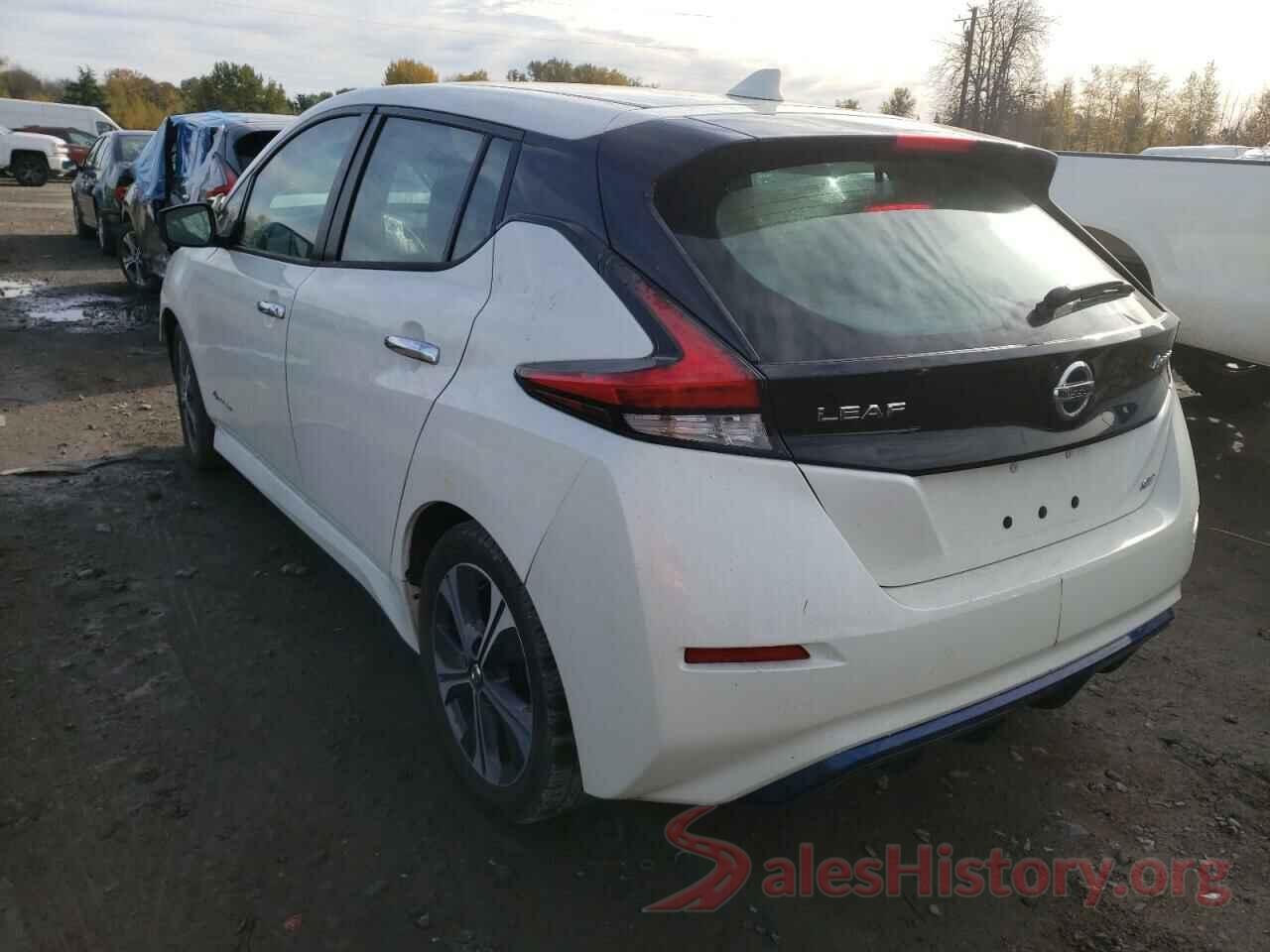 1N4AZ1CP4JC306097 2018 NISSAN LEAF