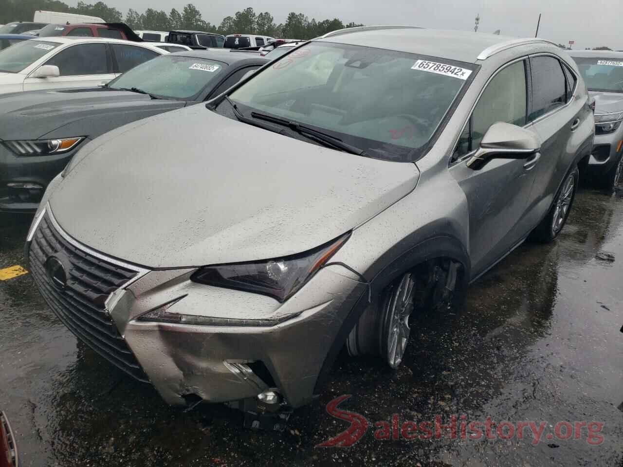 JTJDARBZ9M2191309 2021 LEXUS NX