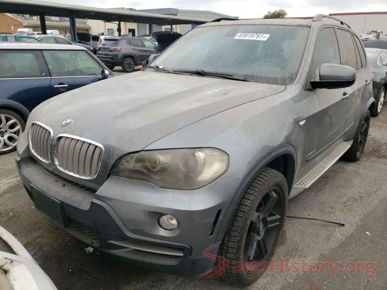 5UXFE83519L169813 2009 BMW X5