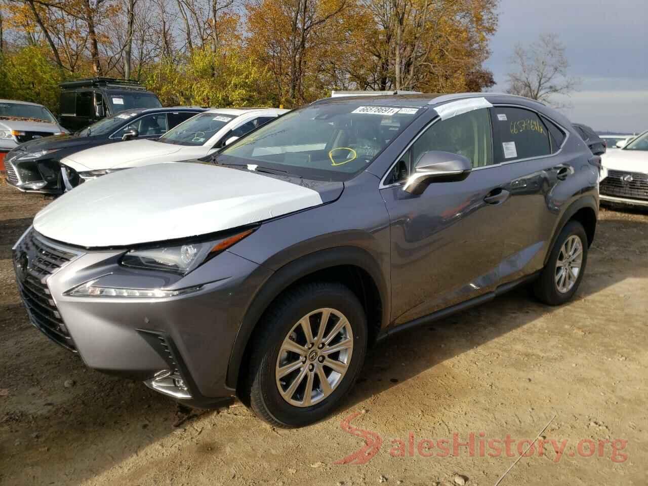 JTJDARDZ0M2261485 2021 LEXUS NX