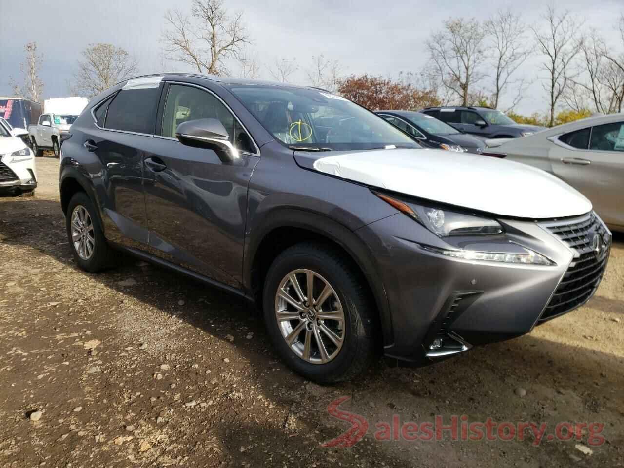 JTJDARDZ0M2261485 2021 LEXUS NX