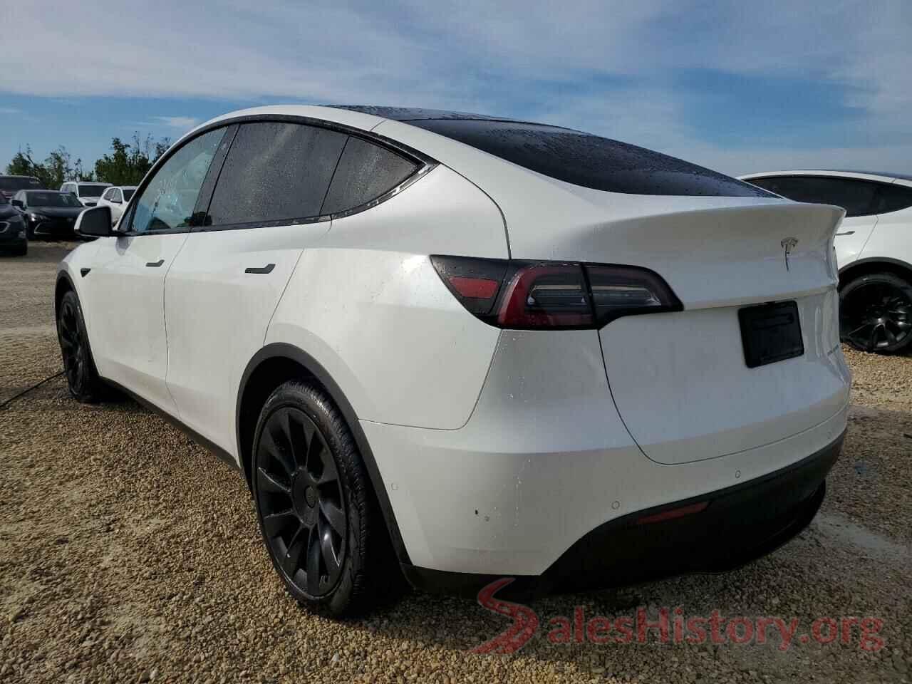 5YJYGDEE7LF004398 2020 TESLA MODEL Y