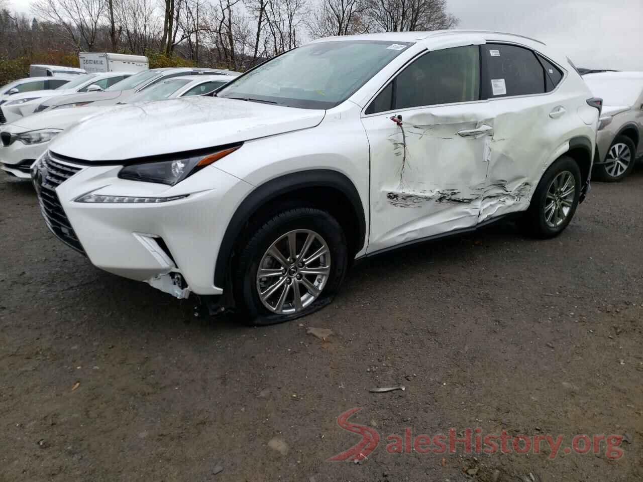 JTJDARDZ4M5029504 2021 LEXUS NX