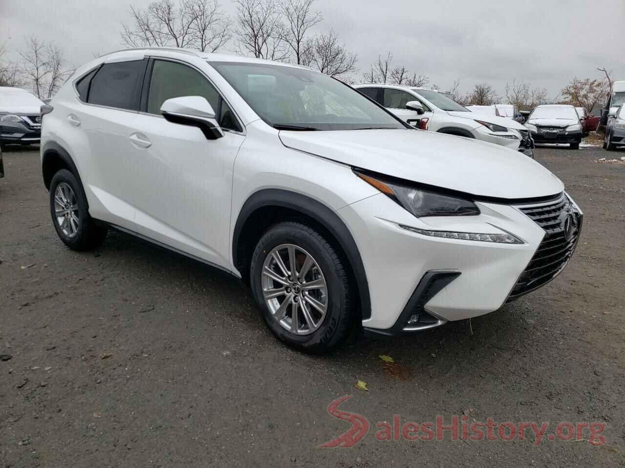 JTJDARDZ4M5029504 2021 LEXUS NX