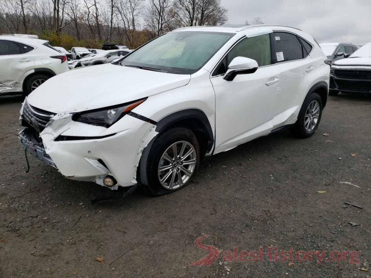 JTJDARDZ1M2261320 2021 LEXUS NX