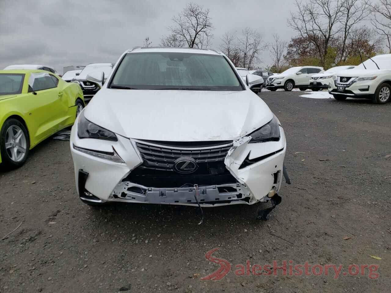 JTJDARDZ1M2261320 2021 LEXUS NX