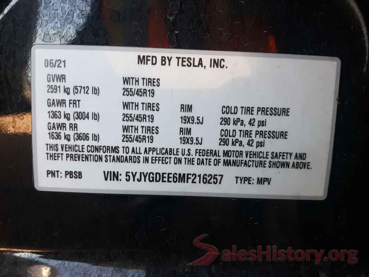 5YJYGDEE6MF216257 2021 TESLA MODEL Y