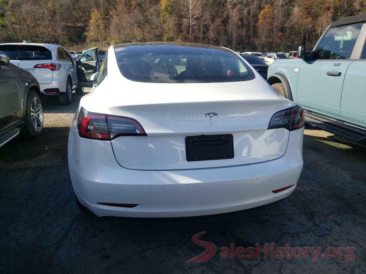 5YJ3E1EA9MF856796 2021 TESLA MODEL 3