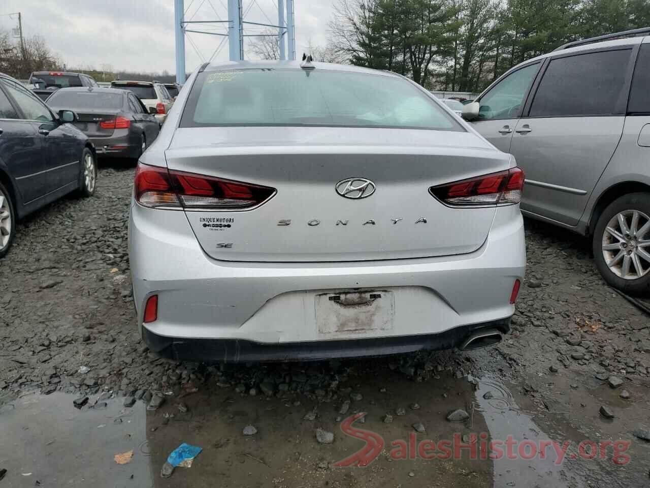 5NPE24AF4KH813499 2019 HYUNDAI SONATA