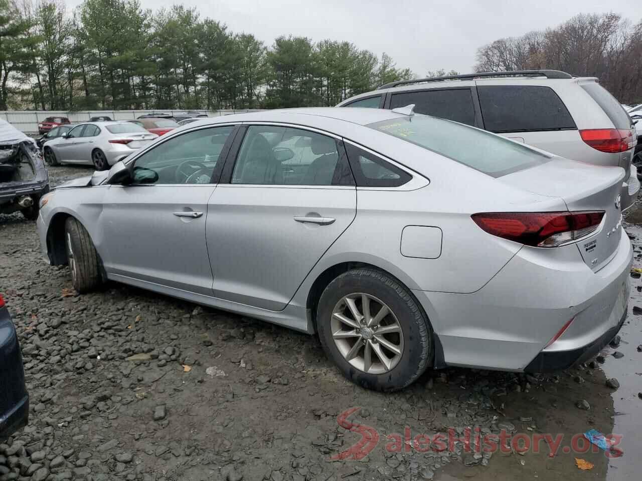 5NPE24AF4KH813499 2019 HYUNDAI SONATA