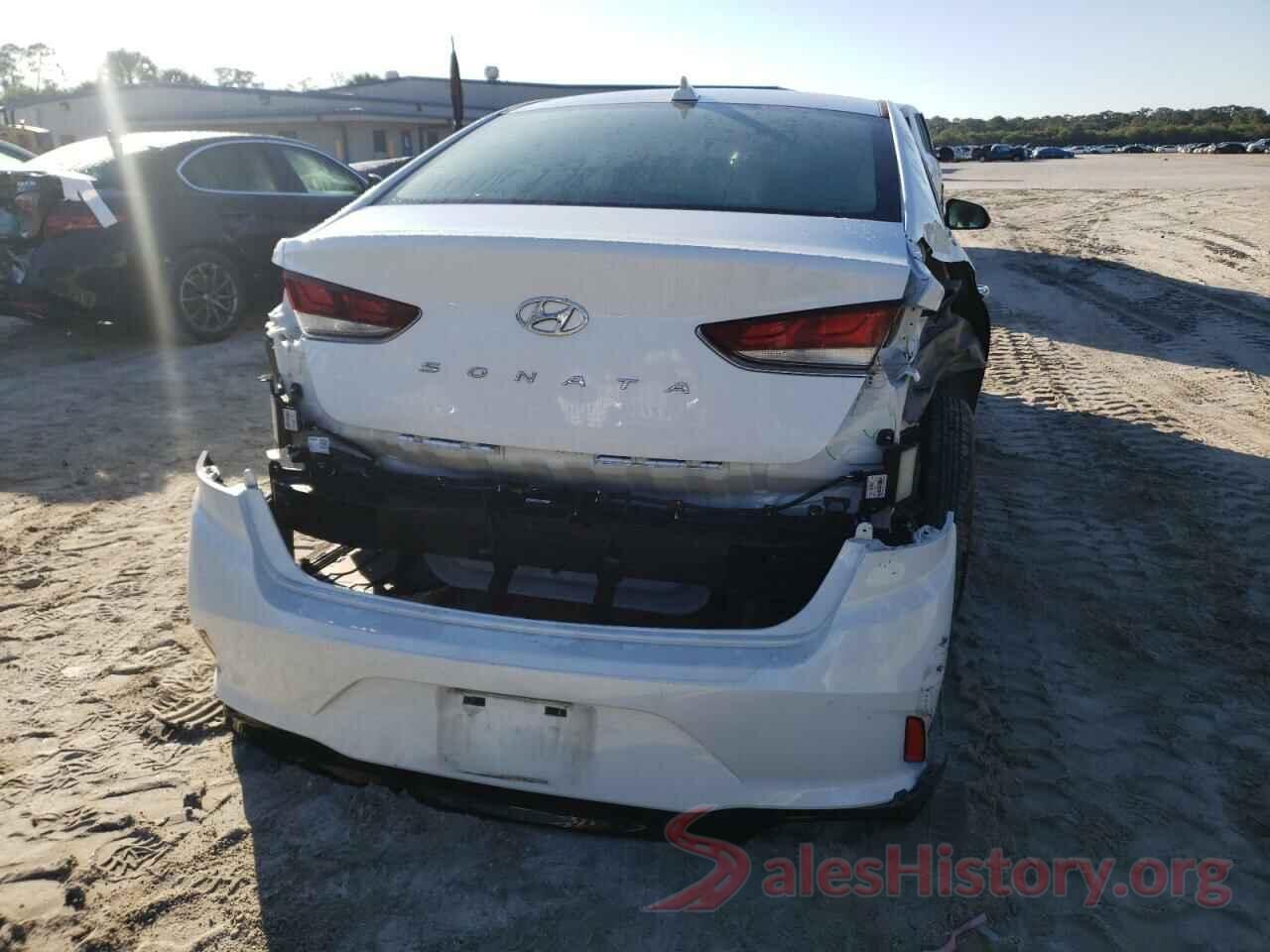 5NPE34AF6KH806003 2019 HYUNDAI SONATA