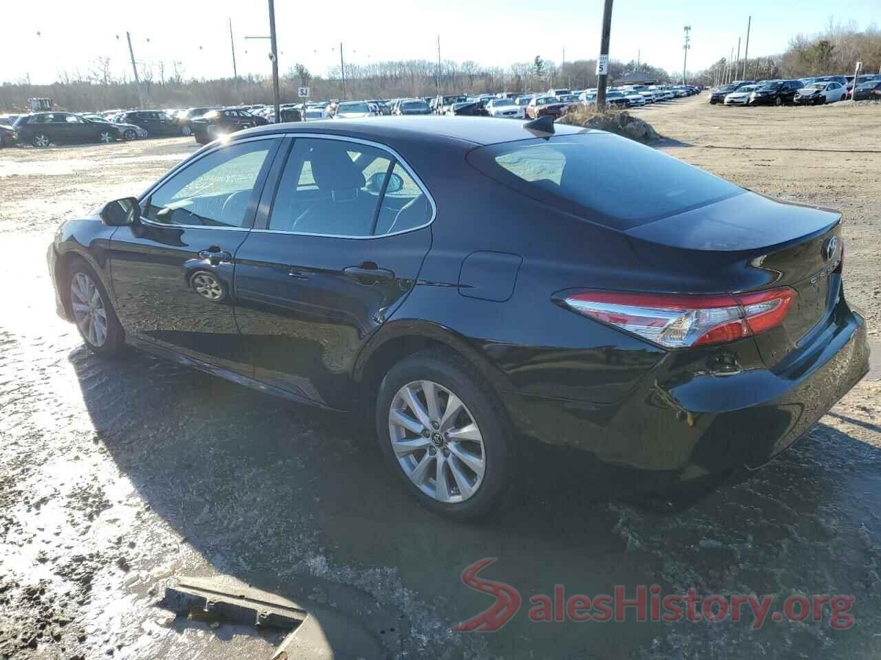 4T1B11HK9KU841016 2019 TOYOTA CAMRY