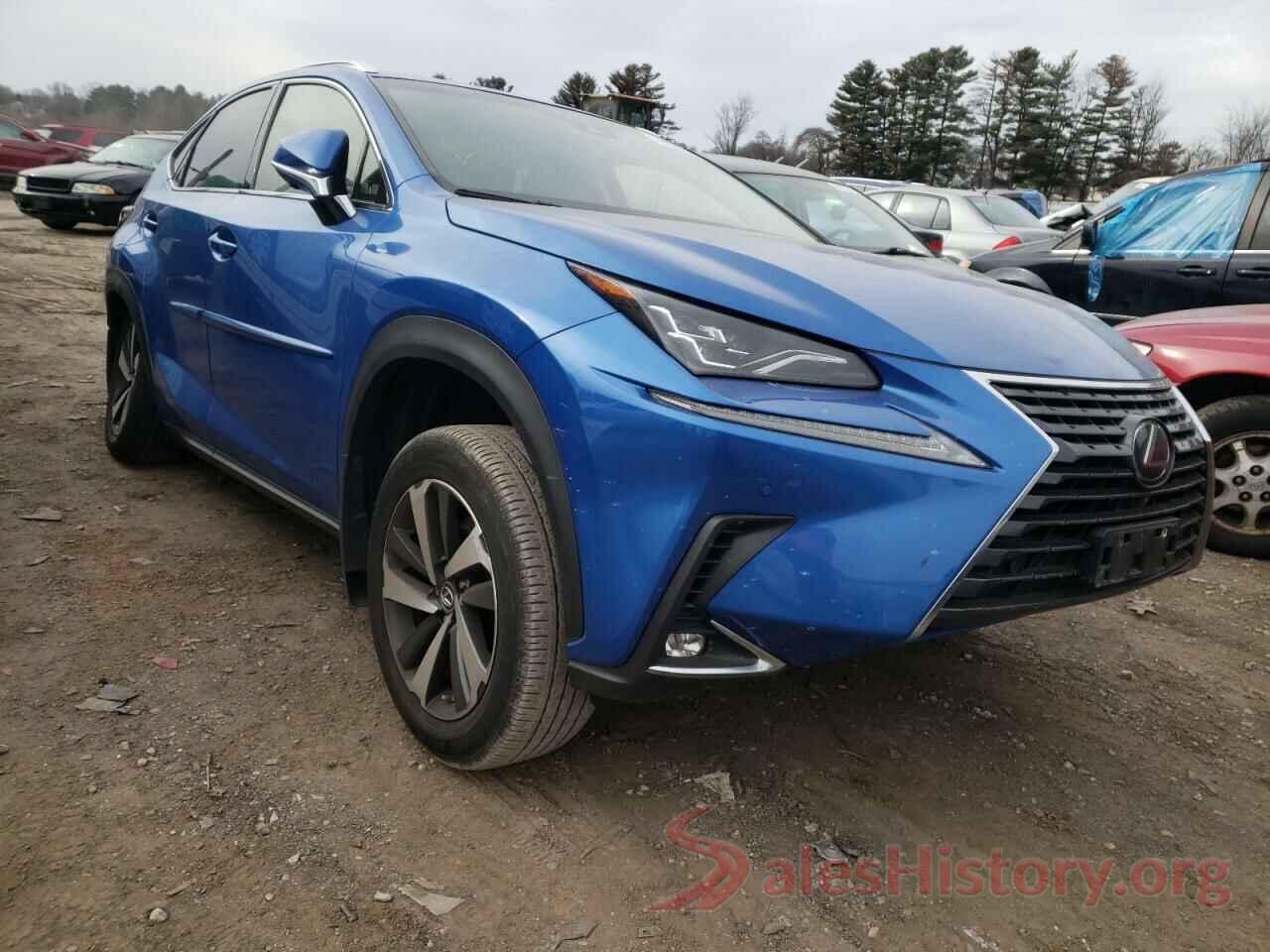 JTJBARBZ0J2153034 2018 LEXUS NX