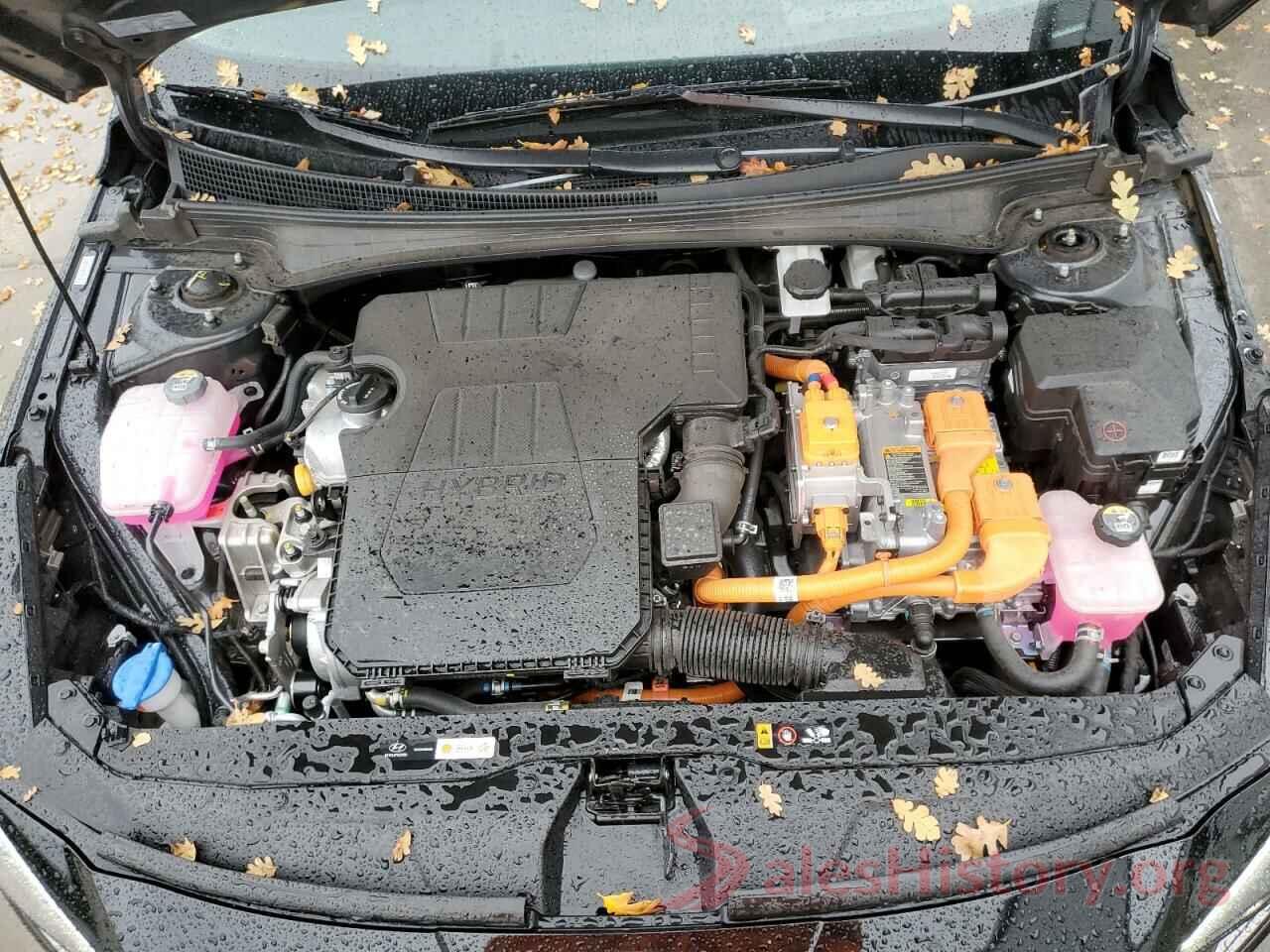 KMHLN4AJ8PU036174 2023 HYUNDAI ELANTRA