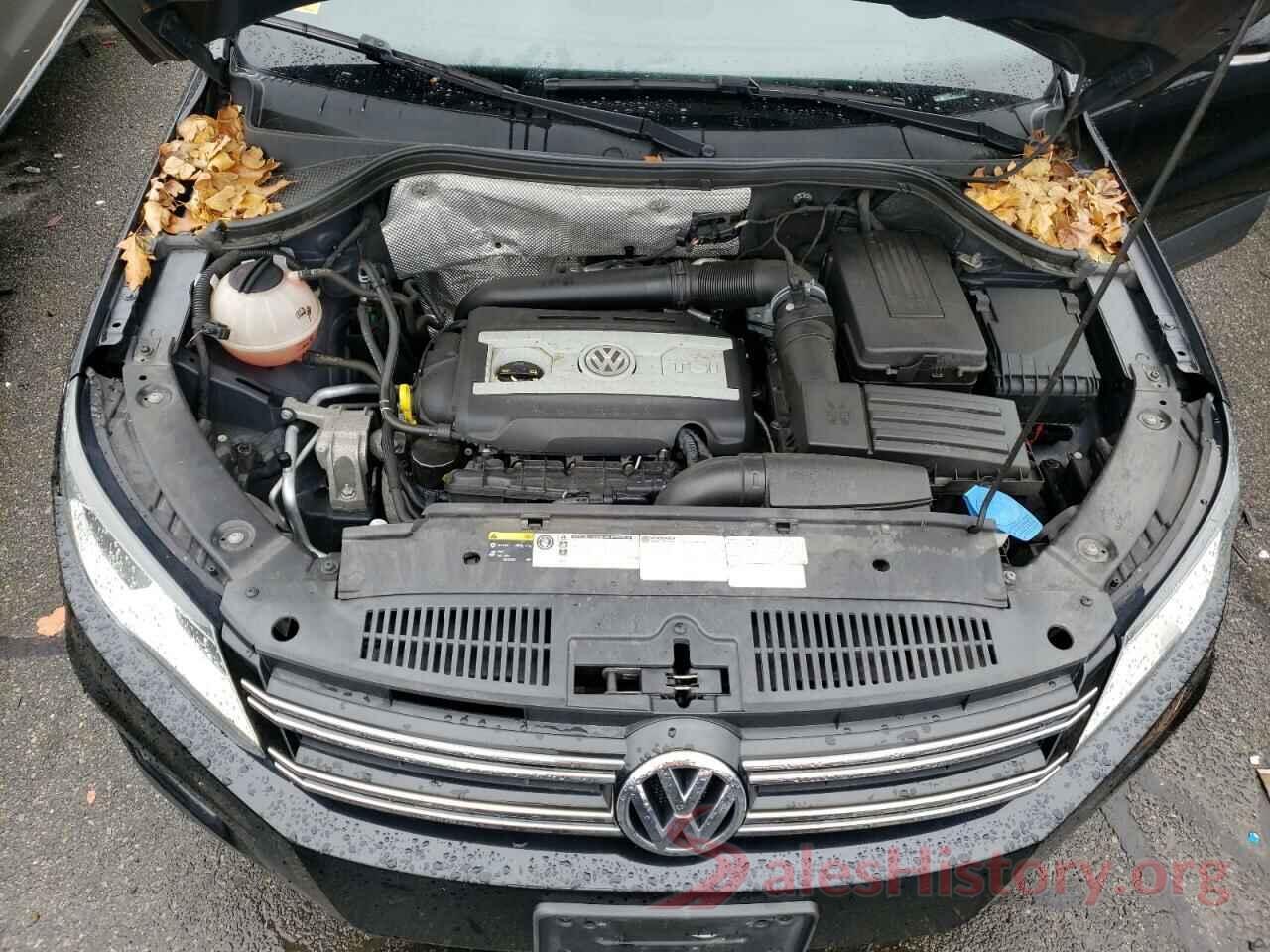 WVGBV7AX5HW502196 2017 VOLKSWAGEN TIGUAN