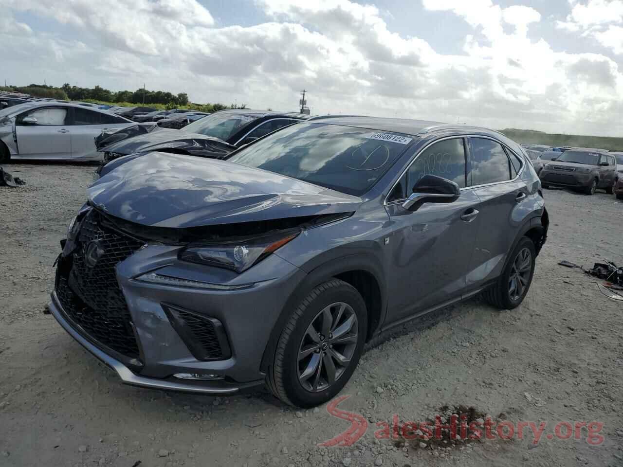 JTJYARBZ1K2156651 2019 LEXUS NX