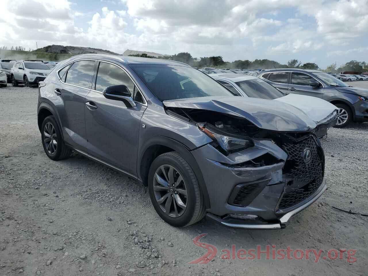 JTJYARBZ1K2156651 2019 LEXUS NX