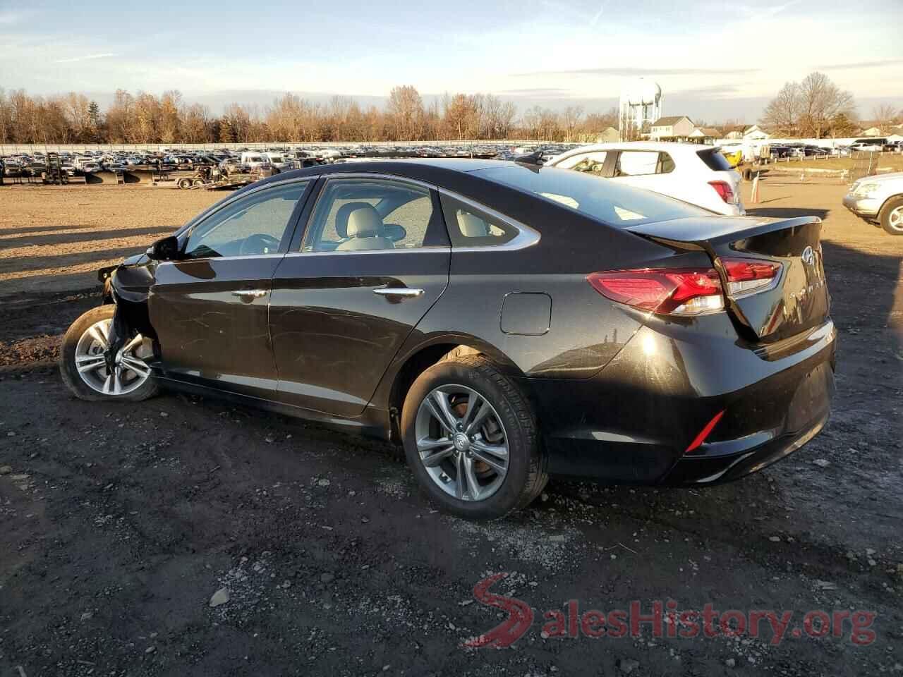 5NPE34AF3KH790729 2019 HYUNDAI SONATA