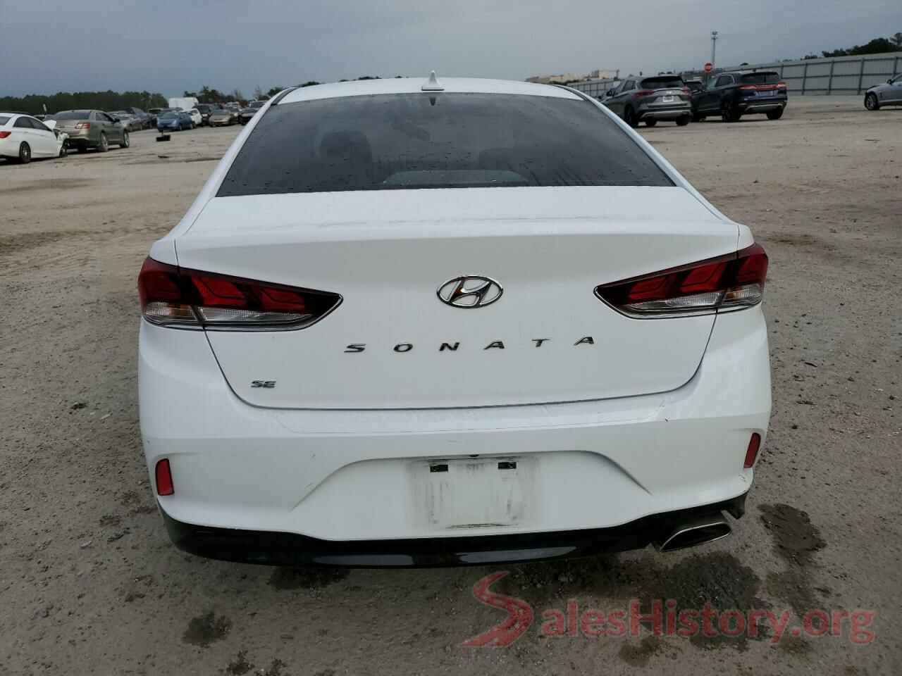 5NPE24AF5KH786412 2019 HYUNDAI SONATA