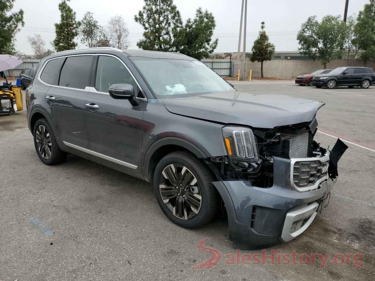 5XYP5DGC0RG417469 2024 KIA TELLURIDE