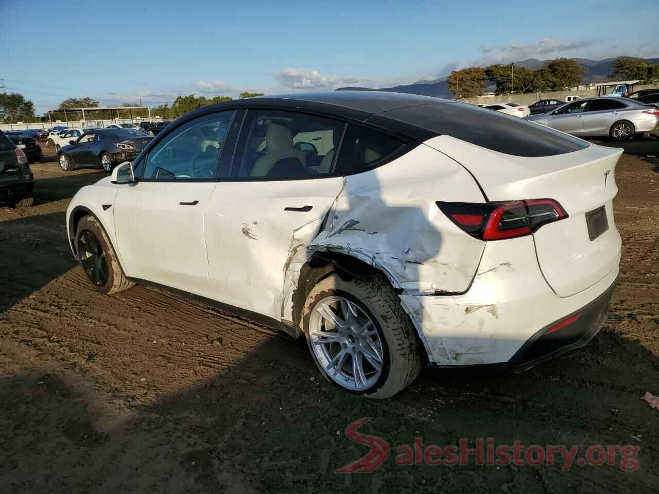 5YJYGDEE9MF300928 2021 TESLA MODEL Y